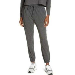 Girlfriend Collective Soft Gray Jogger Pant Slim Straight Size Extra Small